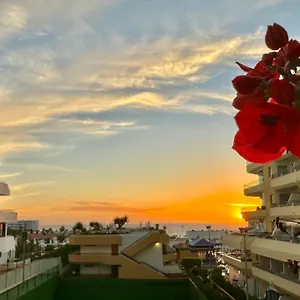In Ocean Park, Costa Adeje, Tenerife Apartment Costa Adeje (Tenerife)